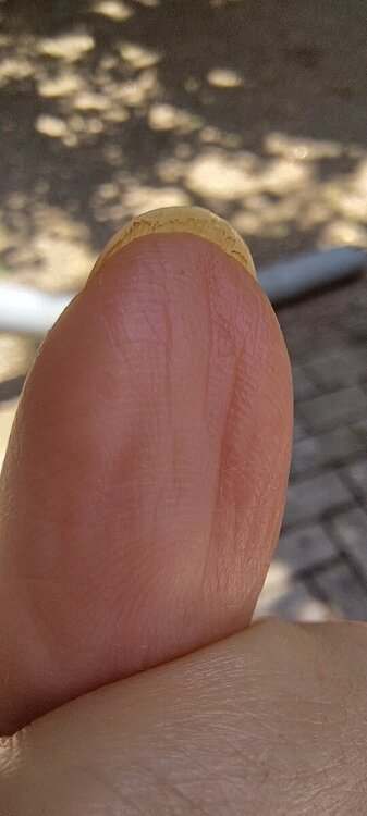 20240604_142142.thumb.jpg.9392055efeb35738c633b27522c4c70b.jpg