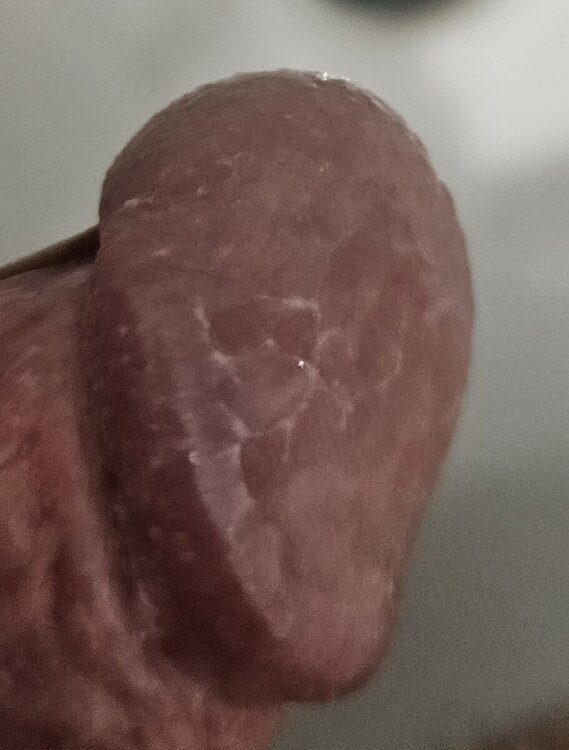 20240609_223243.jpg