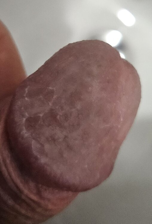 20240609_223330.jpg