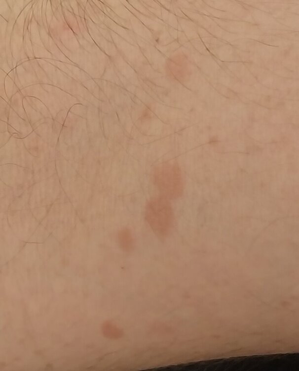 20240612_081420.jpg