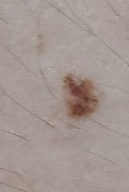 20240623_132652.jpg
