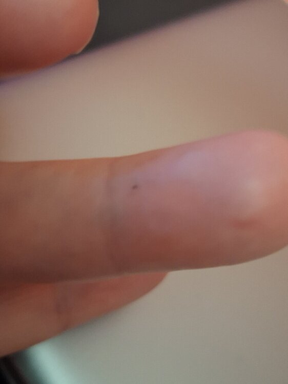 20240624_200855.jpg
