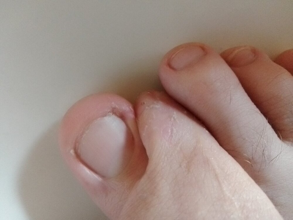 56.jpg