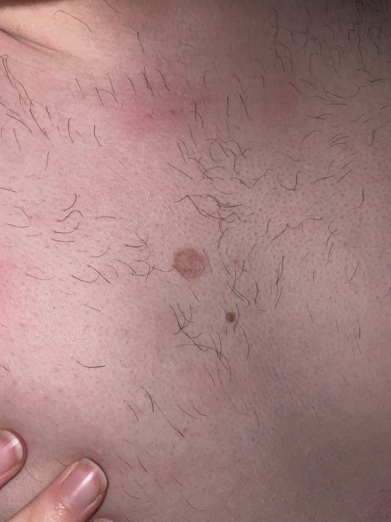 F456303F-512D-4267-B894-F222346A050B.thumb.png.403739eb535c00c6baffbc8cfb832f15.png