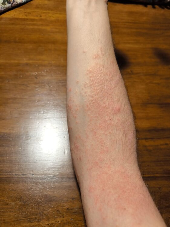 IMG-20240606-WA0166.thumb.jpg.5c4306ecab86d23978c600e9a1d1fd04.jpg