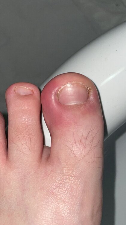 IMG-20240607-WA0000.thumb.jpg.27cd88e2224d774a52adc633786bf55b.jpg