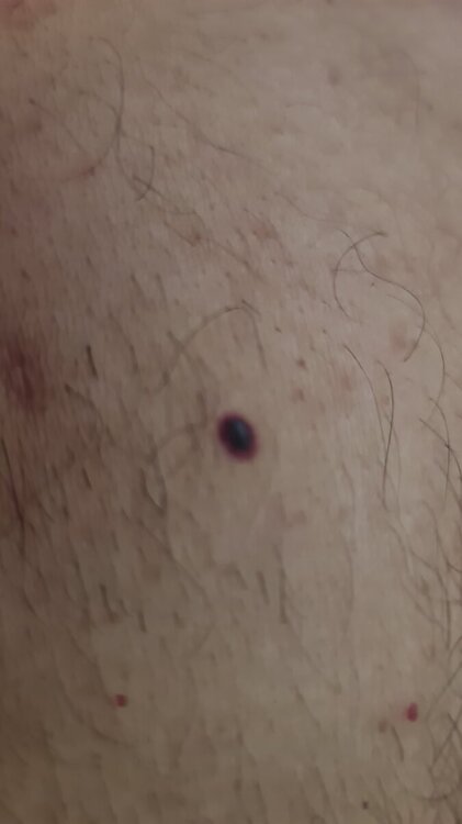 IMG-20240624-WA0021.jpeg