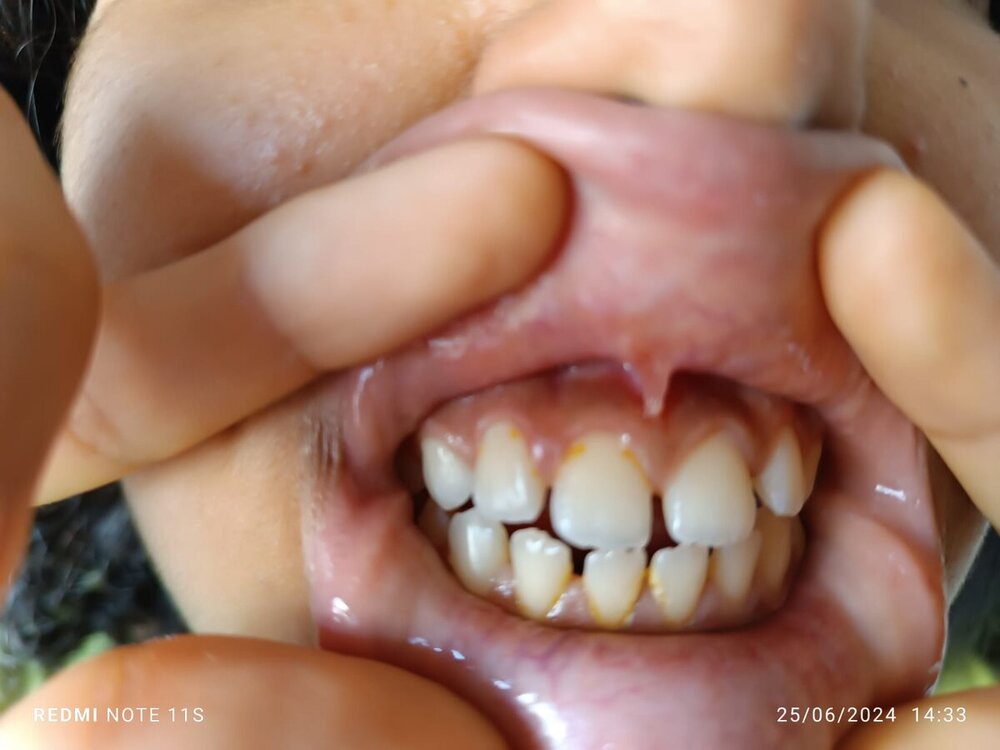 IMG-20240625-WA0001.jpg