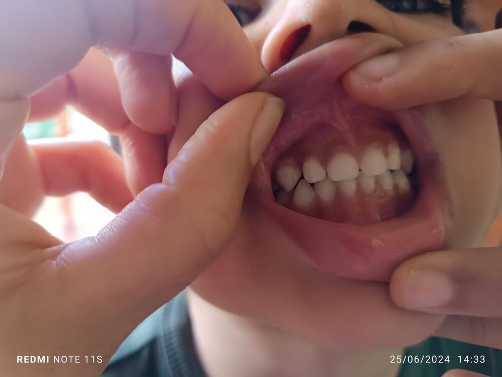 IMG-20240625-WA0003.jpg