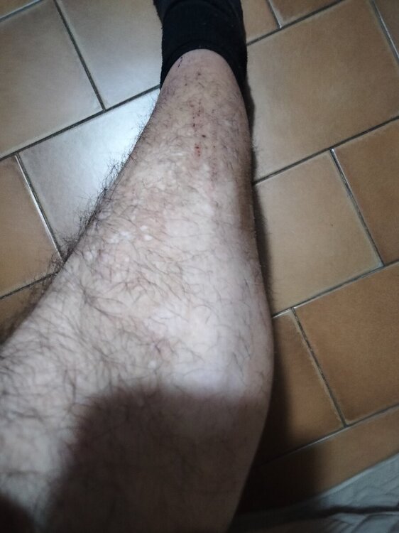 IMG20240604222659.jpg