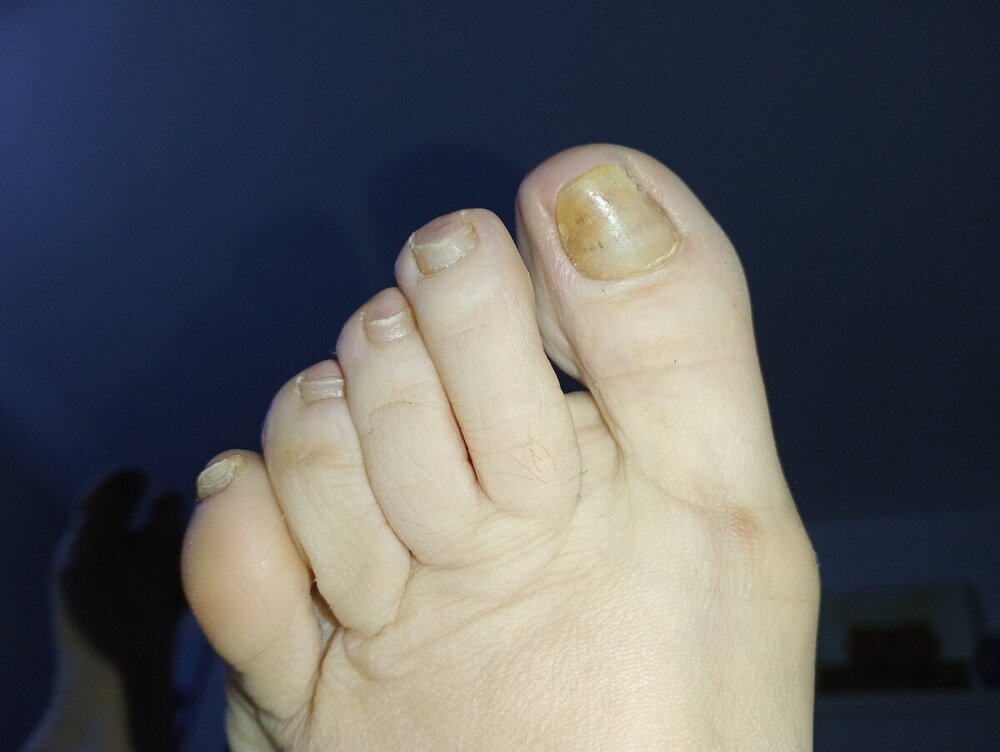 IMG20240612232136.jpg