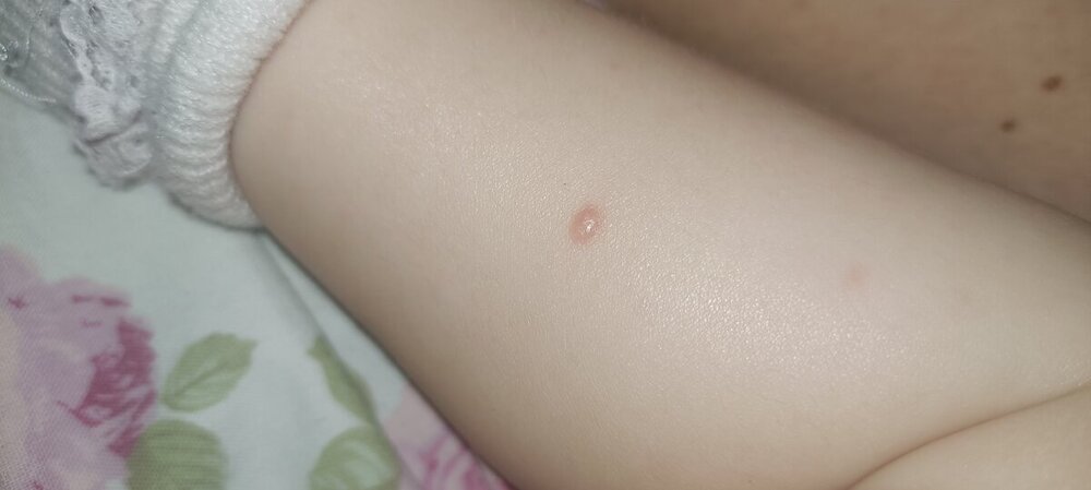 IMG20240615212300.jpg