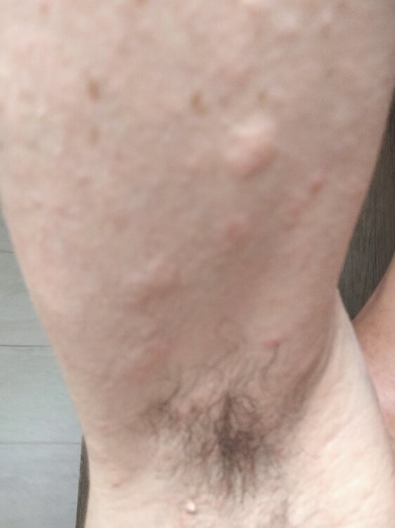 IMG20240620194019.jpg
