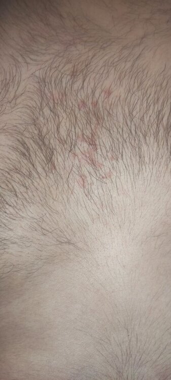 IMG_20240617_120126.jpg