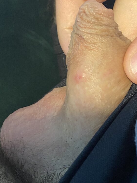 IMG_2412.jpeg