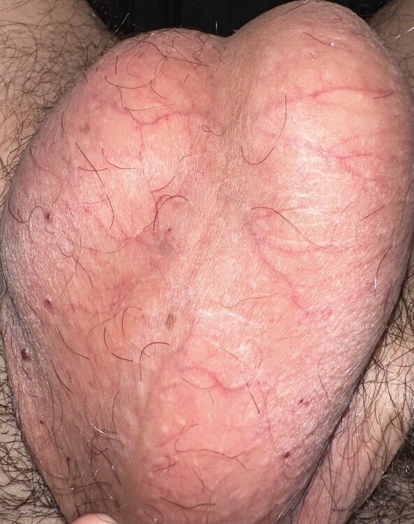 IMG_5438.jpeg