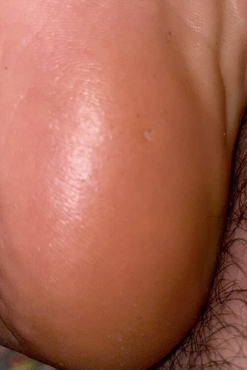 IMG_5965.jpeg