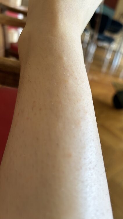 IMG_6404.jpeg