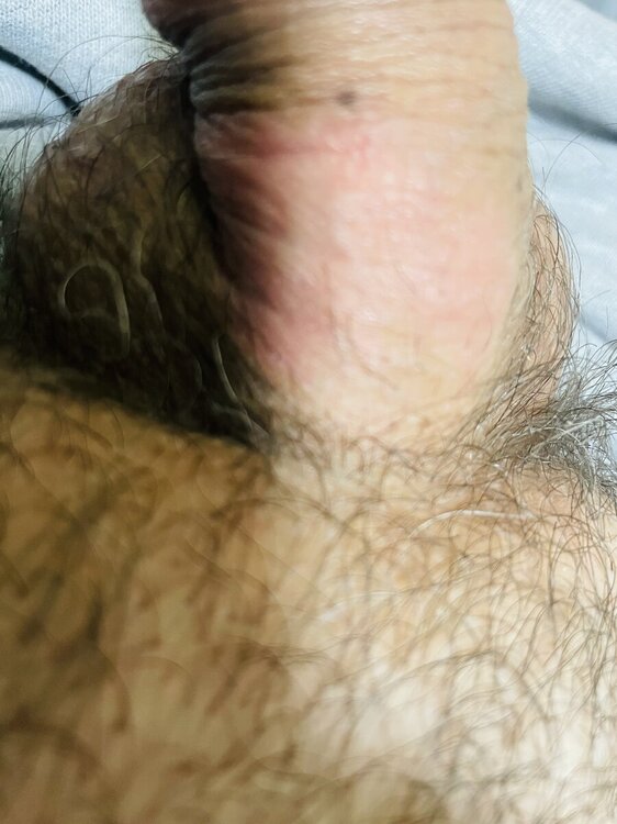 IMG_7961.jpeg