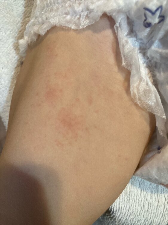 image0.jpeg