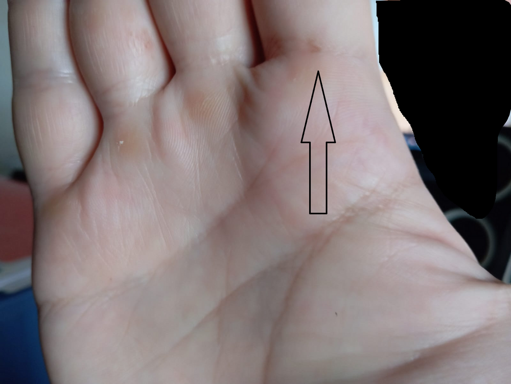 rgergergewrge.thumb.png.47f2c3eb1bec9b426465308a95b59037.png