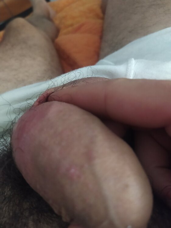 17220437069488911329128005649412.thumb.jpg.20cfa3303945bb387f9773898f7b6144.jpg