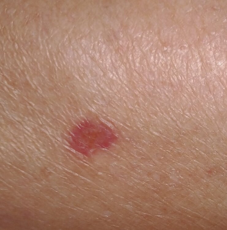 19_06.thumb.jpg.46d08083fdf86bebc0e41f06e6a69584.jpg