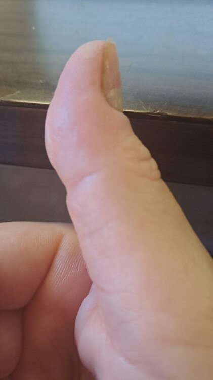20240704_091350.jpg