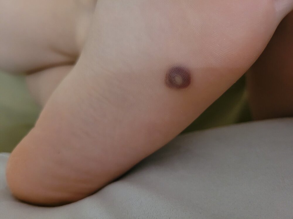 20240705_184930.jpg
