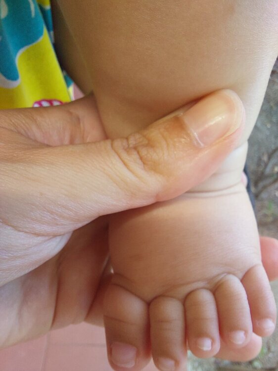 20240710_150314.thumb.jpg.cdafe1ad3cf2a696eb0e7569a7a6c770.jpg