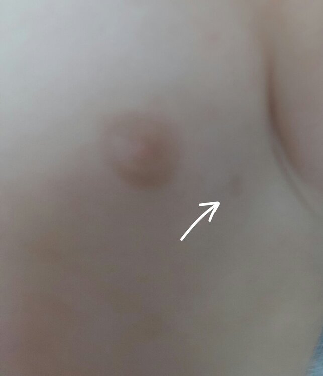 20240710_175418.thumb.jpg.239136486ef789e55715c421136cc06a.jpg