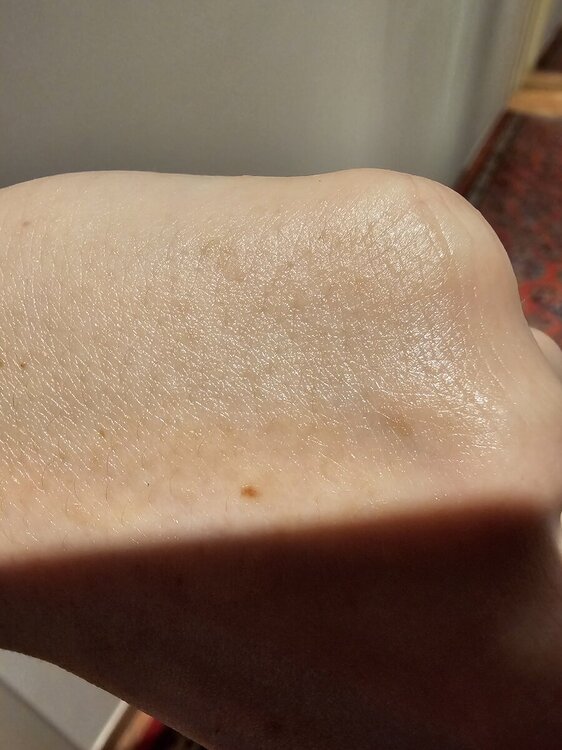 20240729_151310.jpg