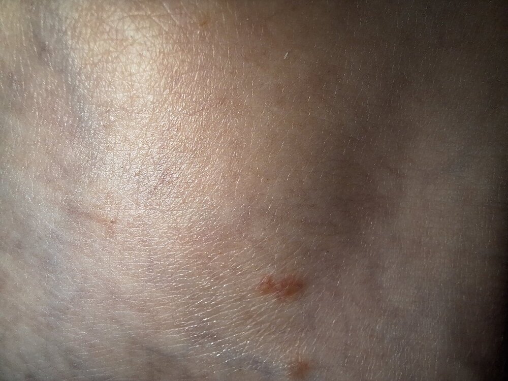 20240730_070340.jpg