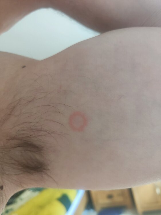 IMG20240713133220 (1).jpg