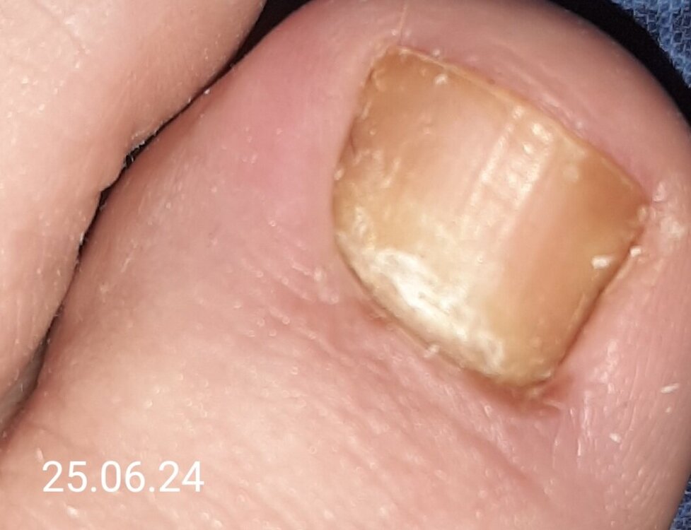 27.06.24.jpg