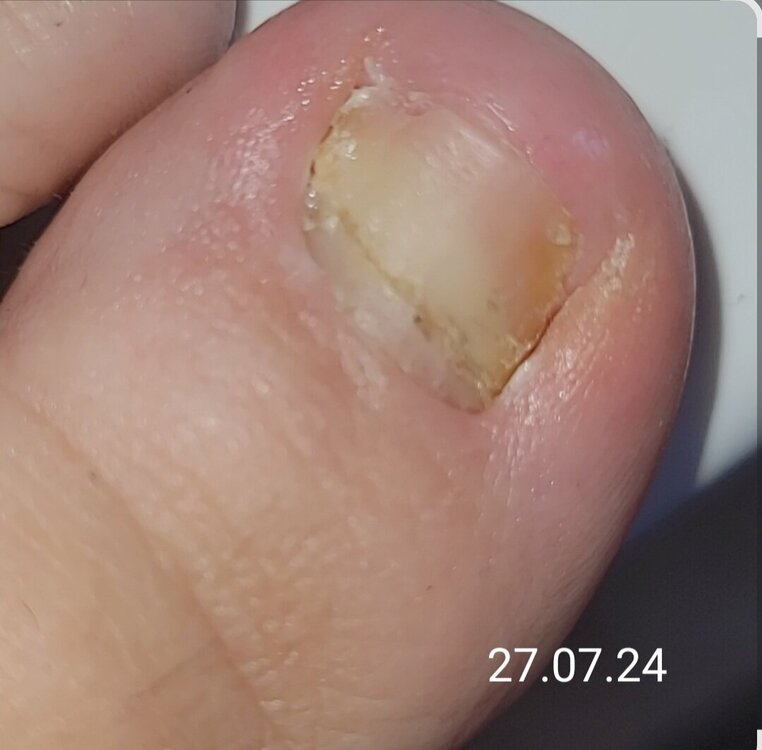 27.07.24.jpg