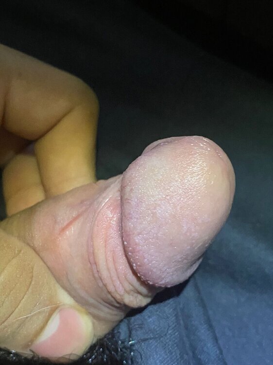 578461870_ImagendeWhatsApp2024-07-10alas16_08.14_c5e5e6b8.thumb.jpg.dc36806f1961761c1cd15dd6372e136f.jpg