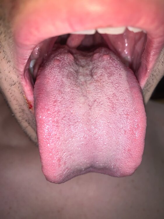 CA3630AA-9CDA-4B92-AB62-79A3B3EAEC89.jpeg