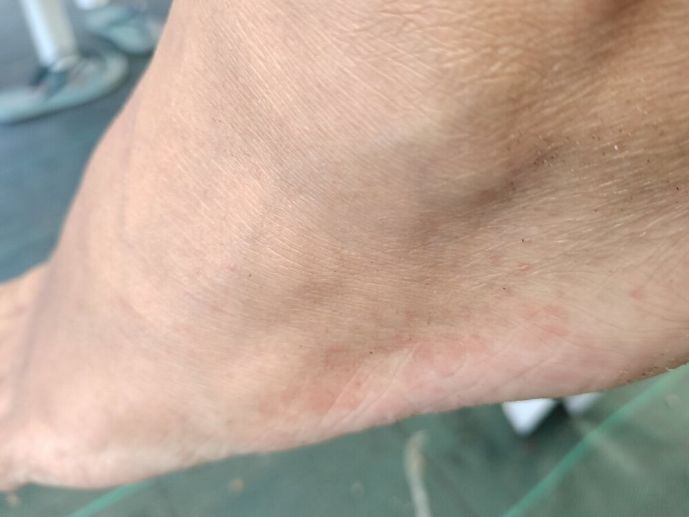 IMG20240706141730.jpg