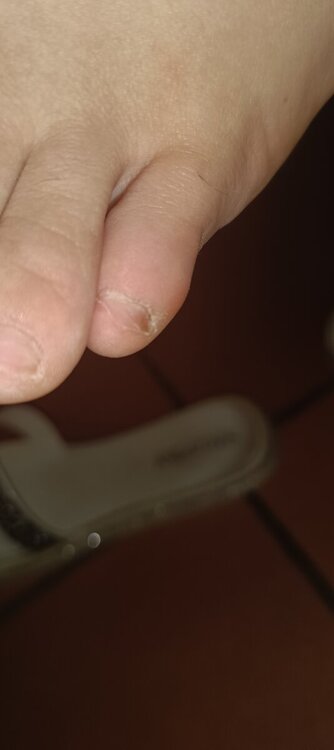 IMG20240710232238.jpg