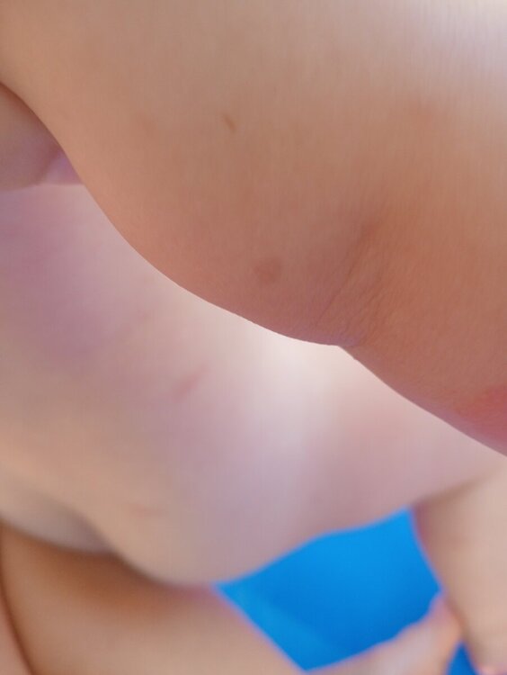 IMG20240724182715_01.jpg