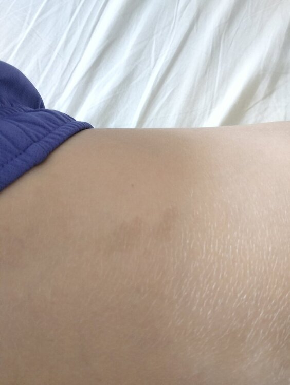 IMG20240729145102.jpg