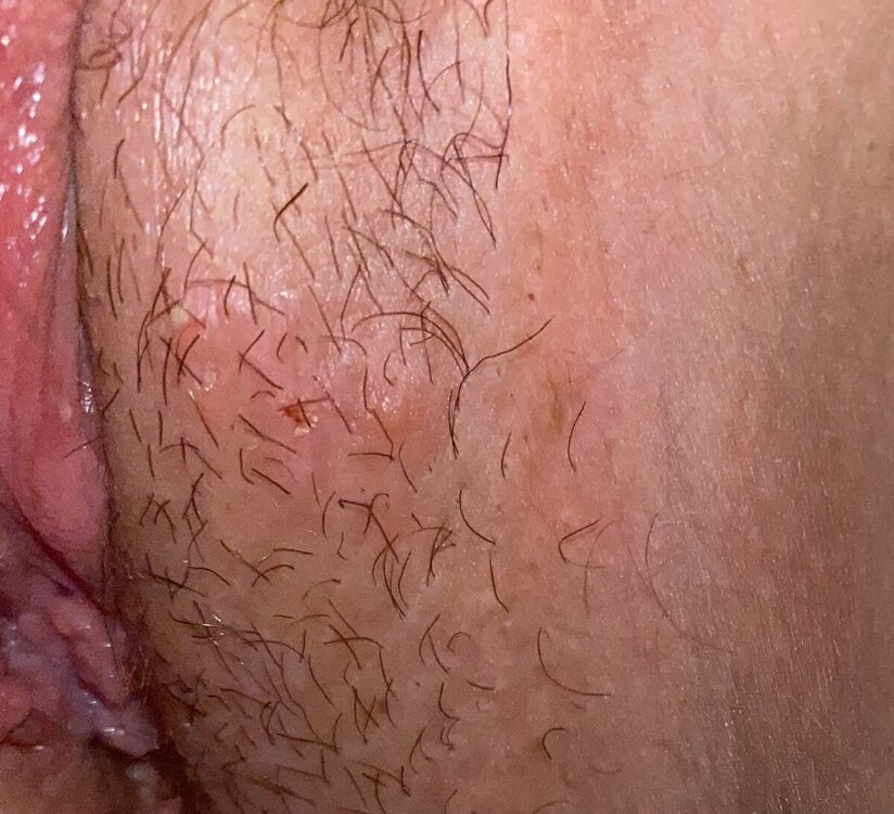 IMG_0948.thumb.jpeg.6012432f9bd3672625cb44dabce3dc2b.jpeg