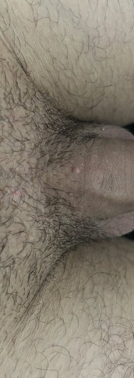 IMG_1667.thumb.jpeg.79fc2d586f4a73272b582199dc822ed7.jpeg