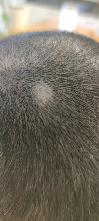 IMG_20240714_095720.jpg