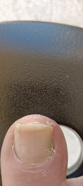 IMG_20240723_180049.thumb.jpg.82148ef7fac194e21162d9bb3f6a9ac1.jpg