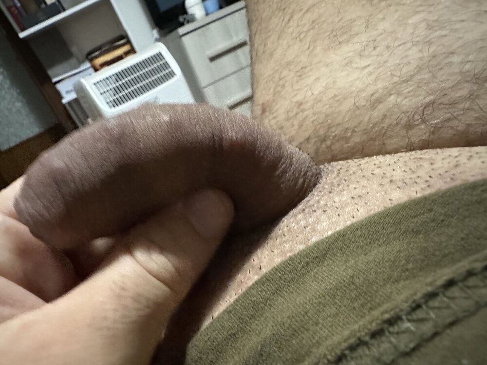 IMG_2294.jpeg
