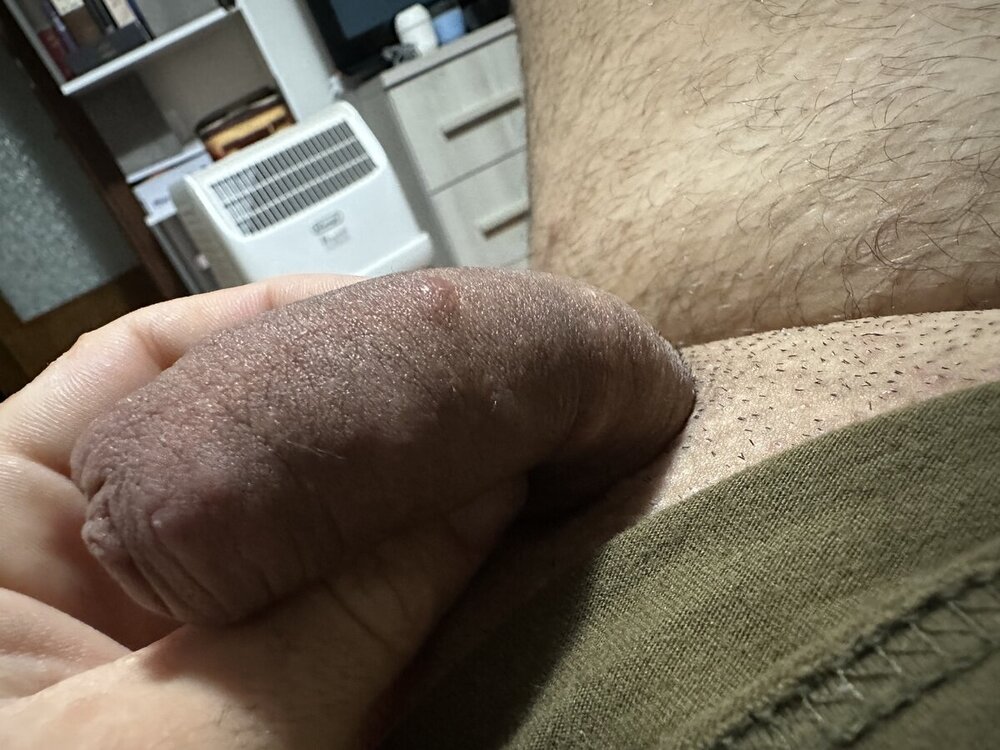 IMG_2295.jpeg