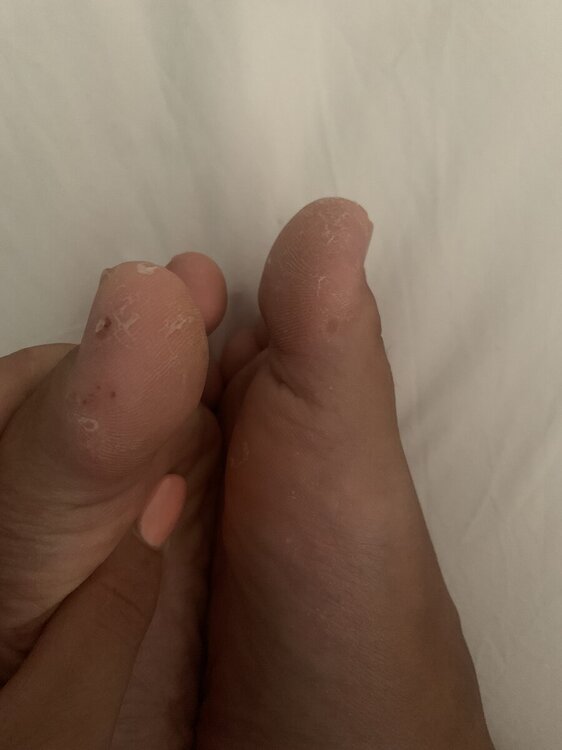 IMG_3991.jpeg