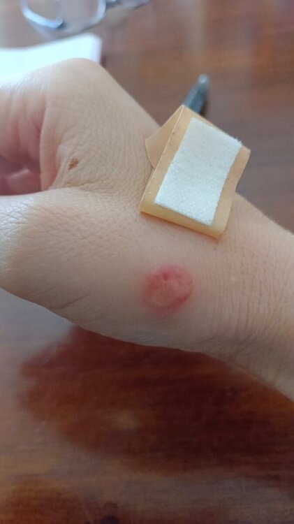Silvia_mano_0.jpg